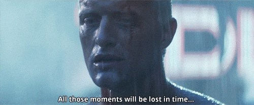 giphy.gif?cid=4d1e4f296622aa1ff1a56c5173