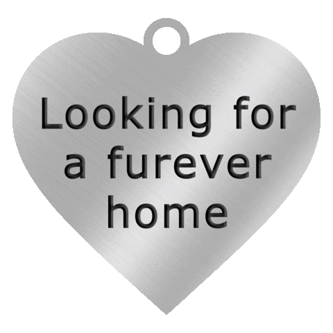 San Bernardino County Public Health Sticker