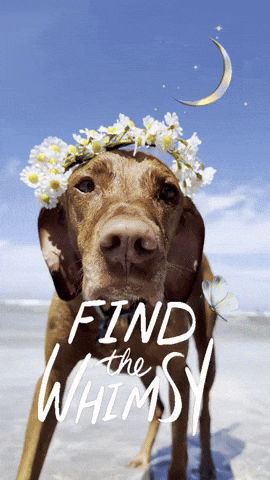 Dog Magic GIF