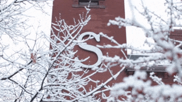 Blue Devils Snow GIF by University of Wisconsin-Stout