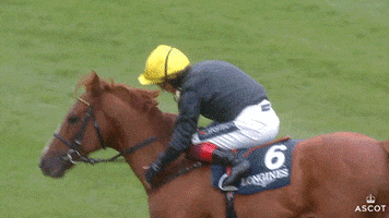 Gold Love GIF by Ascot Racecourse