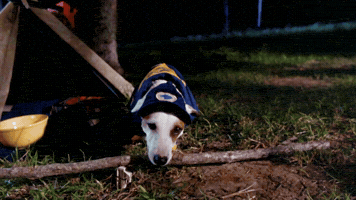 Scared Ernest P Worrell GIF