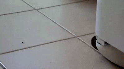 confused toilet paper GIF