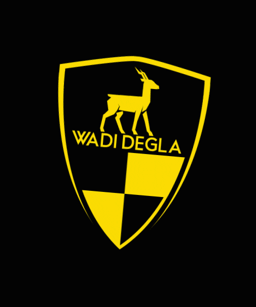 Wadi Degla Clubs GIF