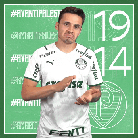 Raphael Veiga Soccer GIF by SE Palmeiras