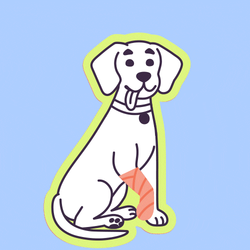 Recover Get Well Soon GIF by 4EveryPet