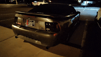 Sn95 GIF