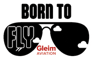 Sunglasses Fly Sticker by GleimAviation