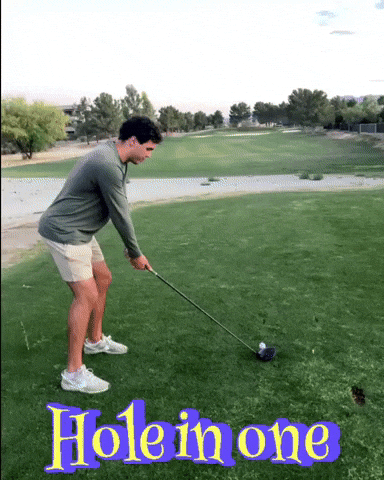 Hole In One Golf GIF