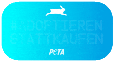 Hund Adopt Dont Shop GIF by PETA Deutschland e.V.