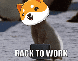 Work Money GIF by Baby Doge Coin
