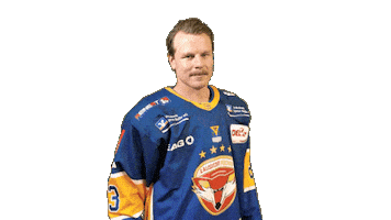 Yes Sticker by Lausitzer Füchse