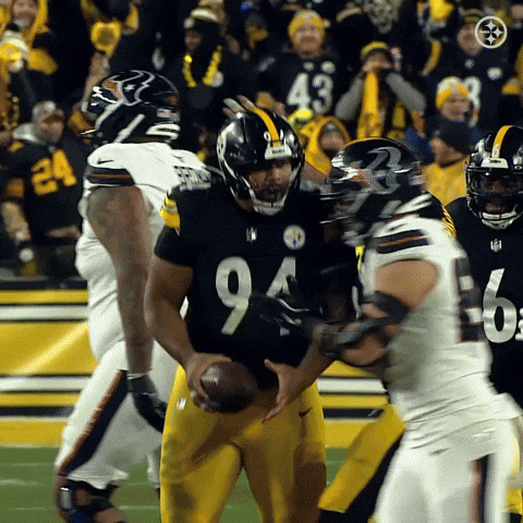 Excited Nfl GIF by Pittsburgh Steelers
