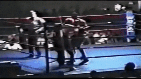 giphy.gif?cid=790b76112044f5731614f51770