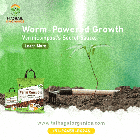 Best Vermicompost Manufacturer In India GIF