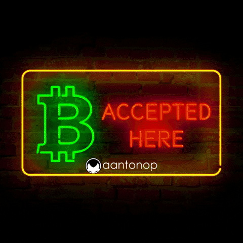 aantonopofficial crypto bitcoin cryptocurrency btc GIF