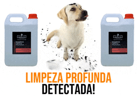 specialvetoficial dog shampoo banho groomer GIF