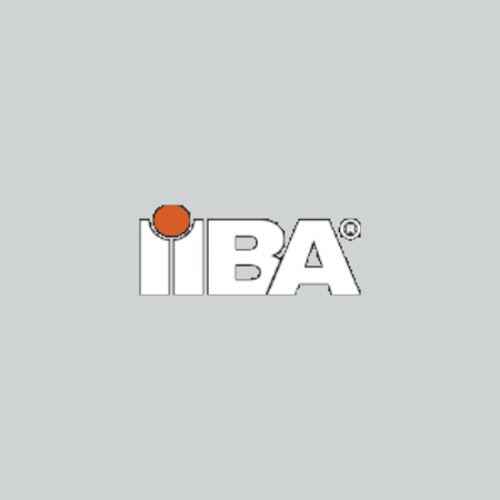 GIF by IIBA