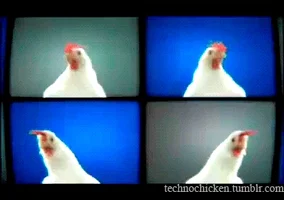 techno chicken GIF