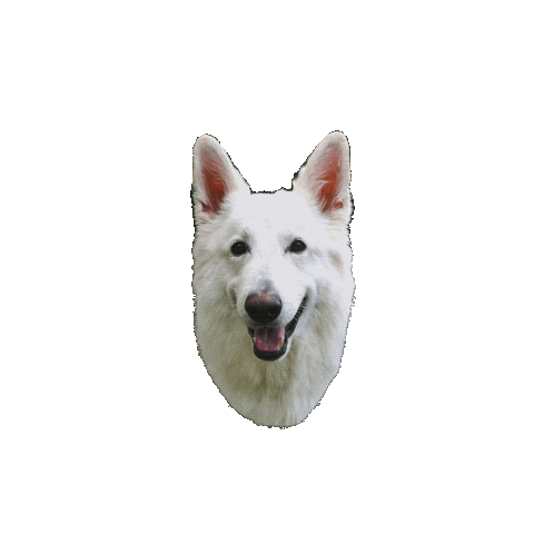 Puppy Love Sticker