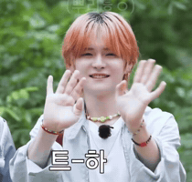 Treasure Hai GIF