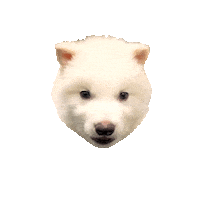 Dire Wolf Yes Sticker by Colossal