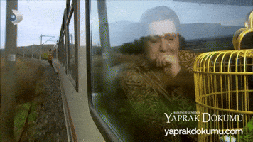 Cry Son GIF by Yaprak Dökümü