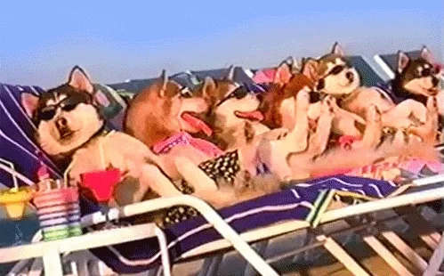 Family Vacation Reaction GIF