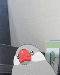 Bird GIF