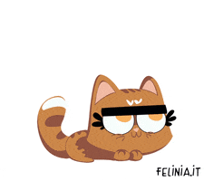 Red Cat No GIF