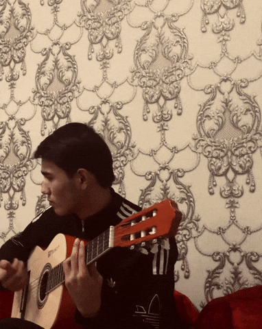 Mirziyo GIF