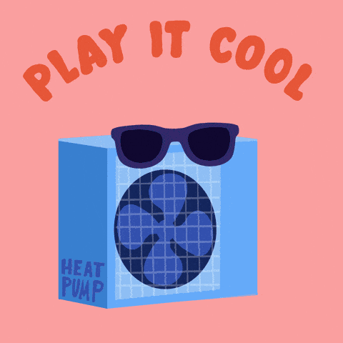 Play it cool fan