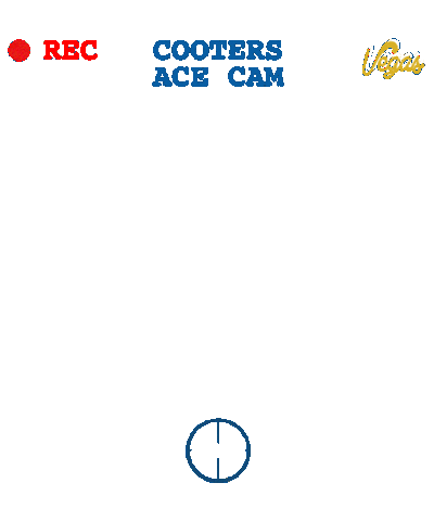 Ace Cam Sticker by Cooters Open