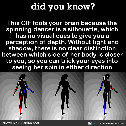 illusion GIF