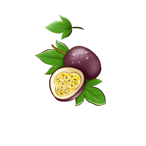 Summer Flower Sticker