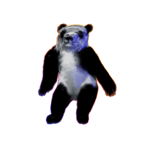 Animated Sticker