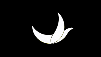 Junior ESTACA Paris-Saclay GIF