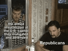 Meme gif. From Trailer Park Boys, Robb Wells as Ricky watches John Paul Tremblay as Julian sitting at a table inside his house through a window. Julian promptly grabs the string of the window's blinds and quickly shuts the blinds in Ricky's face without so much as looking up. Ricky is labeled "The armed insurrection at the U.S. Capitol they instigated and defended," and Julian is labeled "Republicans."