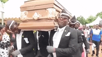 Coffin Dance GIF