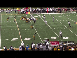 Missouri GIF