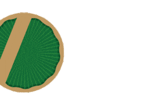 Camisc Sticker by Stoller Brasil