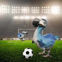 Soccer Goal GIF by Dodo Australia