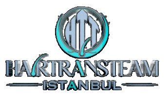 Hair Trans Team Sticker