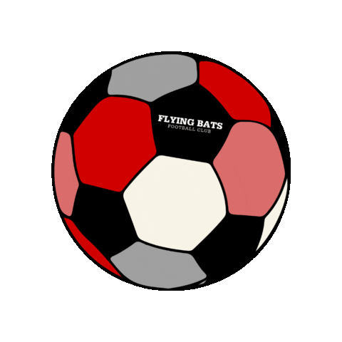 Flying Bats Football Club Sticker