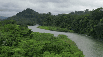 Panamá GIF