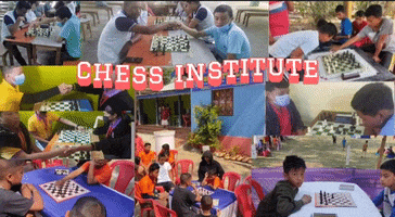 Chess Institute GIF