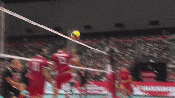 Save Oh No GIF by Volleyball World
