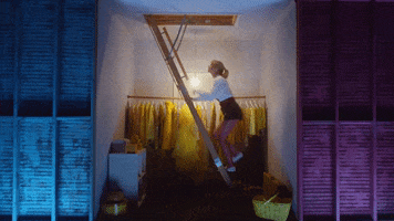 Lover Ladder GIF by Taylor Swift