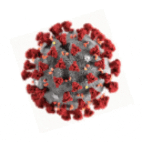 Virus Corona GIF by Androidiani - Find & Share on GIPHY