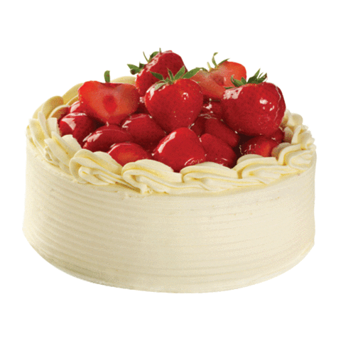 Vitalidad Sticker by Canola Vita